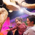 San Antonio: Ripley's Believe It or Not! 4 Attraction Ticket - Exploring Each Attraction in Detail