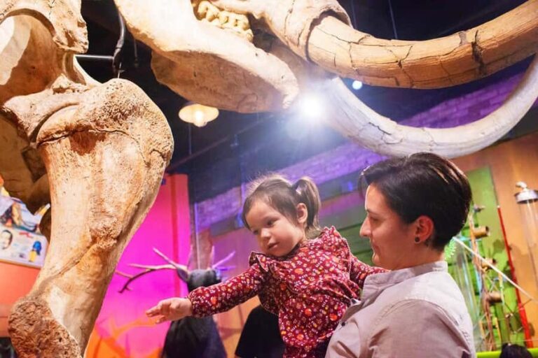 San Antonio: Ripley's Believe It or Not! 4 Attraction Ticket - Exploring Each Attraction in Detail