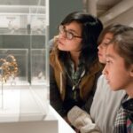 San Antonio: San Antonio Museum of Art Entry Ticket - Who will appreciate this experience most?