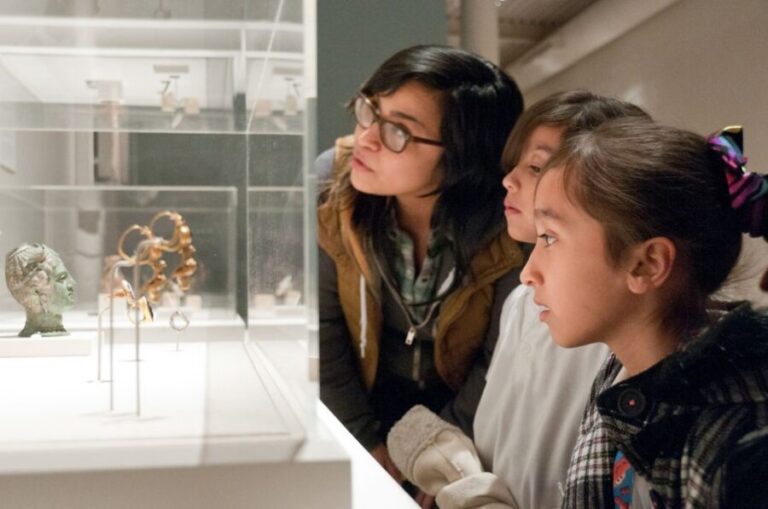 San Antonio: San Antonio Museum of Art Entry Ticket - Who will appreciate this experience most?