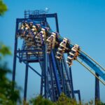 San Antonio: SeaWorld Skip-the-Line Park Admission Ticket - What to Expect When Visiting SeaWorld San Antonio