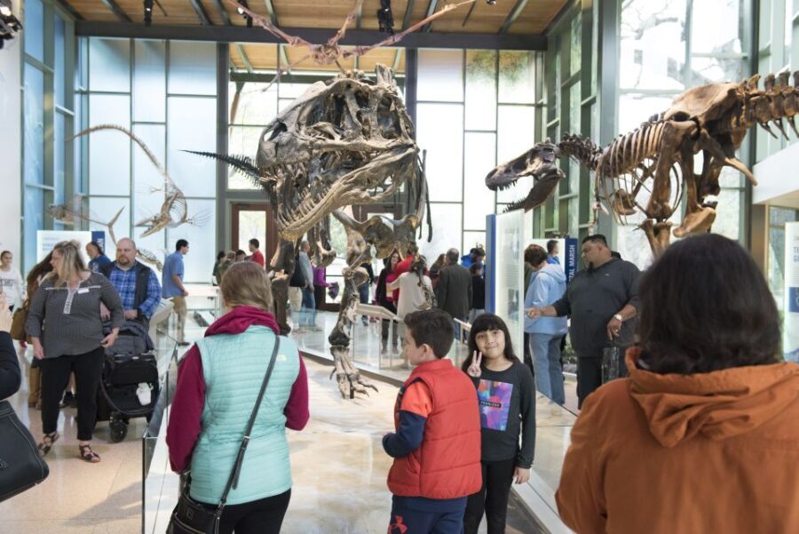 San Antonio: Witte Museum Admission Ticket - The Value of Your Ticket