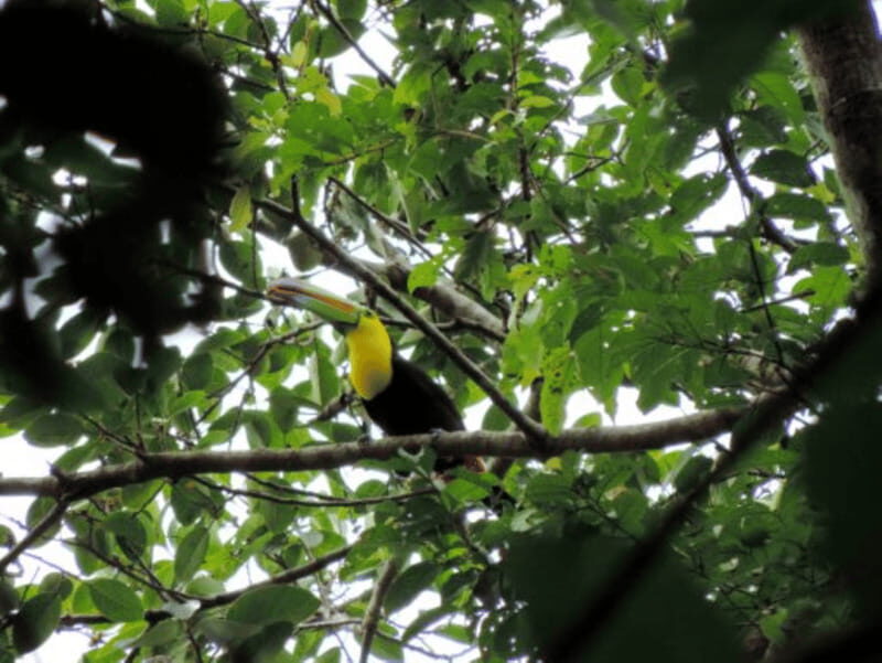 San Cristobal: 3 Days Nature Tour Southern Selva Lacandona - What We Love About This Tour
