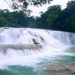 San Cristobal: Agua Azul, Misol Ha & Palenque Experience - The Return and Overall Experience