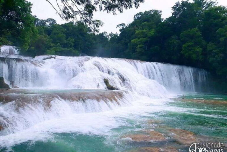 San Cristobal: Agua Azul, Misol Ha & Palenque Experience - The Return and Overall Experience