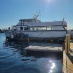 San Diego: 3 Hour Whale Watching Cruise - FAQs