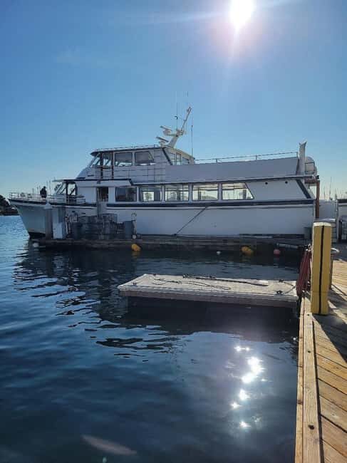 San Diego: 3 Hour Whale Watching Cruise - FAQs