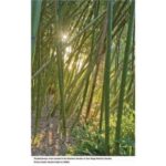 San Diego Botanical Garden Entry Ticket and Transportation - Who Is This Tour Best For?