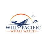 San Diego: Luxury Year-round Whale Watching & Dolphin Tour - The Value of the Tour