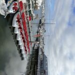 San Diego: San Diego Bay Dog-Friendly Eco Pedal Boat Rentals - What You’ll See and Do