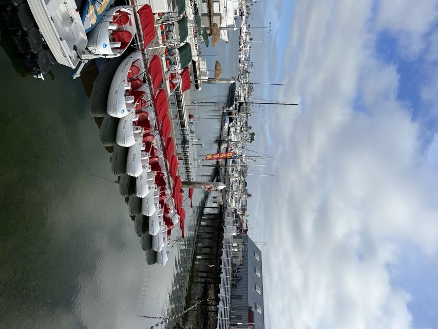 San Diego: San Diego Bay Dog-Friendly Eco Pedal Boat Rentals - What You’ll See and Do