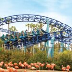 San Diego: SeaWorld Skip-the-Line Park Admission Ticket - The Value of the Skip-the-Line Ticket and All-Day Dining