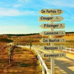 San Diego to Temecula: Wine Country Tour & Historic Old Town - What Could Be Better