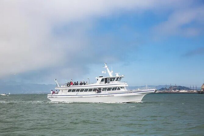 San Diego Whale/Dolphin Watching Cruise Aboard Luxury Vessel - FAQs