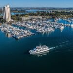 San Diego Whale Watching 3 Hour Tour Mission Bay on the Legacy - Final Thoughts