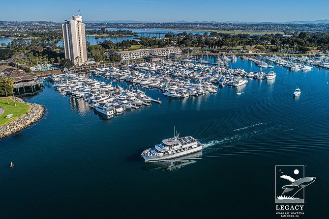 San Diego Whale Watching 3 Hour Tour Mission Bay on the Legacy - Final Thoughts