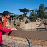 San Diego Zoo and Safari Park 2-Visit Pass Ticket - Value for Money and Practical Considerations
