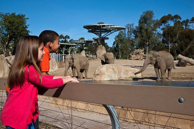 San Diego Zoo and Safari Park 2-Visit Pass Ticket - Value for Money and Practical Considerations