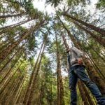 San Francisco Alcatraz Island and Guided Muir Woods Tour - Who Should Consider This Tour?