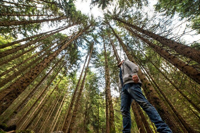 San Francisco Alcatraz Island and Guided Muir Woods Tour - Who Should Consider This Tour?