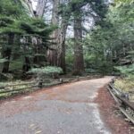 San Francisco: Alcatraz, Muir Woods and Sausalito Day Tour - The Real Deal: Pros and Cons