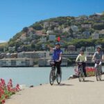 San Francisco: Bike Tour with Muir Woods and Sausalito Visit - What We Loved and What to Consider