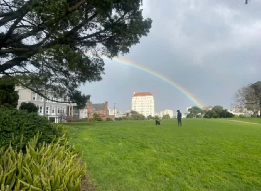 San Francisco: Billionaire's Row & Palace of Fine Arts Tour - The Experience: Pros & Cons