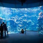 San Francisco: California Academy of Sciences Entry Ticket - How Well Is It Organized and Managed?