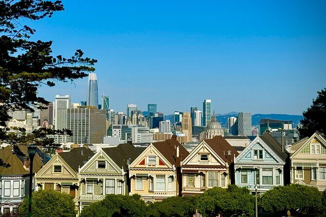 San Francisco City Tour in New EV Volkswagen Van - Is This Tour Right for You?