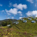 San Francisco CityPASS® - Final Thoughts: Is the San Francisco CityPASS® Worth It?