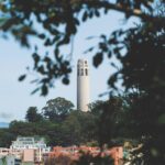 San Francisco: Coit Tower and Little Italy Guided Walking Tour - What We Think About the Tour’s Content