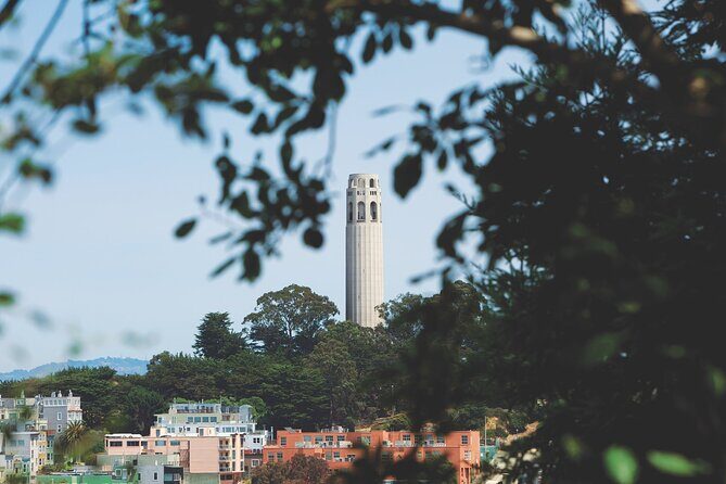 San Francisco: Coit Tower and Little Italy Guided Walking Tour - What We Think About the Tour’s Content