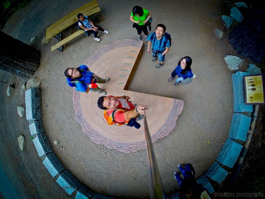 San Francisco: Day Trip to Yosemite with Giant Sequoias Hike - What the Reviews Say