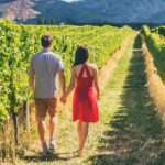 San Francisco: Full Day Coastal Redwoods & Wine Country Tour - Who Should Consider This Tour?