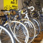 San Francisco: Golden Gate Park Bike Ride - Who Will Love This Bike Ride?