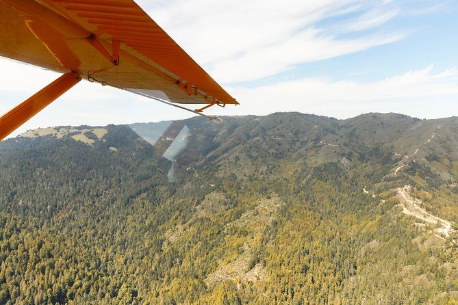 San Francisco Golden Gate Seaplane Tour - Is It Worth the Price?