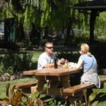 San Francisco: Half Day Wine Tour & Hop-On Hop-Off City Tour - Who Will Love This Tour?