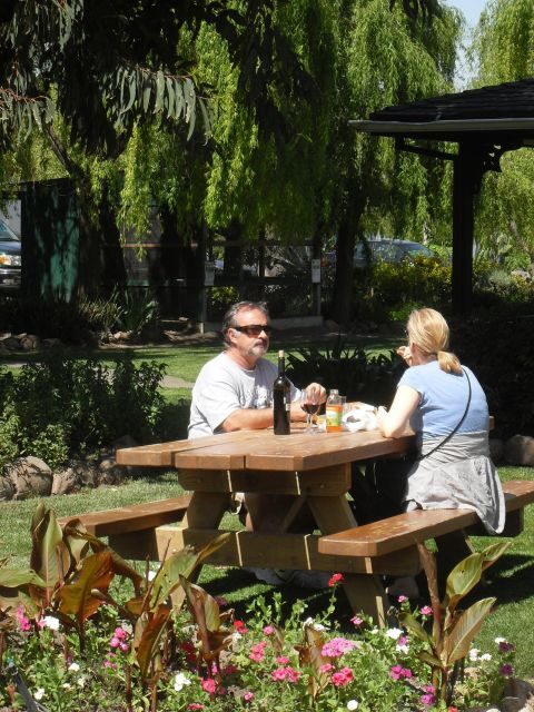 San Francisco: Half Day Wine Tour & Hop-On Hop-Off City Tour - Who Will Love This Tour?