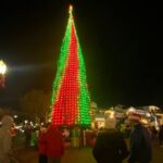 San Francisco: Holiday Lights Private Group Jeep Tour - The Little Details That Matter