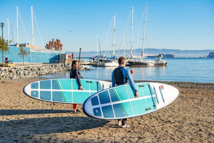 San Francisco: Kayak or SUP Tour to the Bay Bridge! - Authentic Feedback & Practical Insights