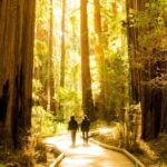 San Francisco: Muir Woods and Sausalito Experience - What People Are Saying