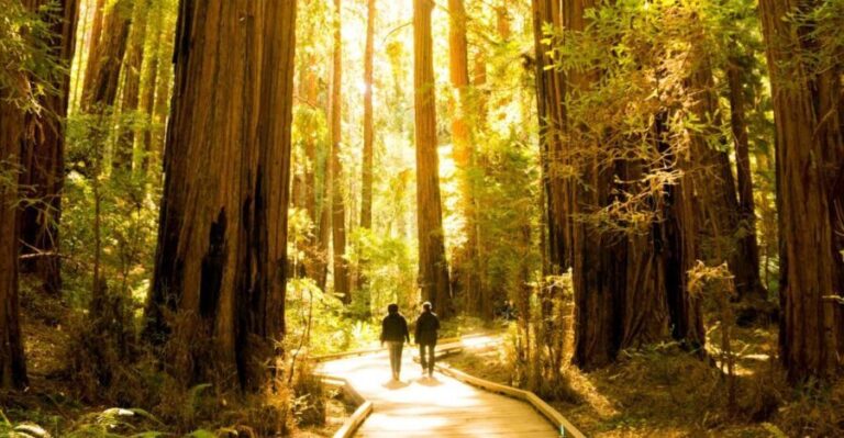San Francisco: Muir Woods and Sausalito Experience - What People Are Saying