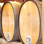 San Francisco: Muir Woods, Sausalito, and Sonoma Wine Tour - Practical Considerations