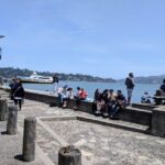 San Francisco: Muir Woods, Sausalito, and Tiburon Day Trip - What to Expect from the Experience
