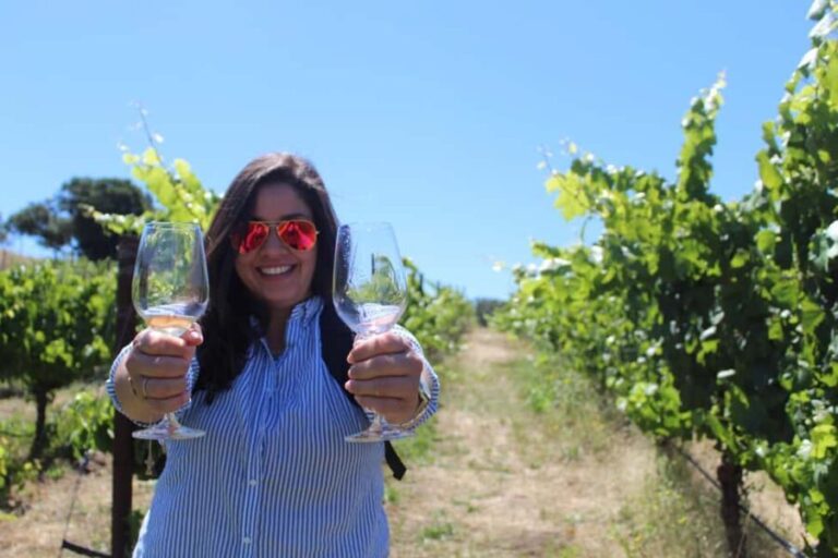 San Francisco: Napa and Sonoma Valley Wine Tour - Is This Tour Worth the Price?