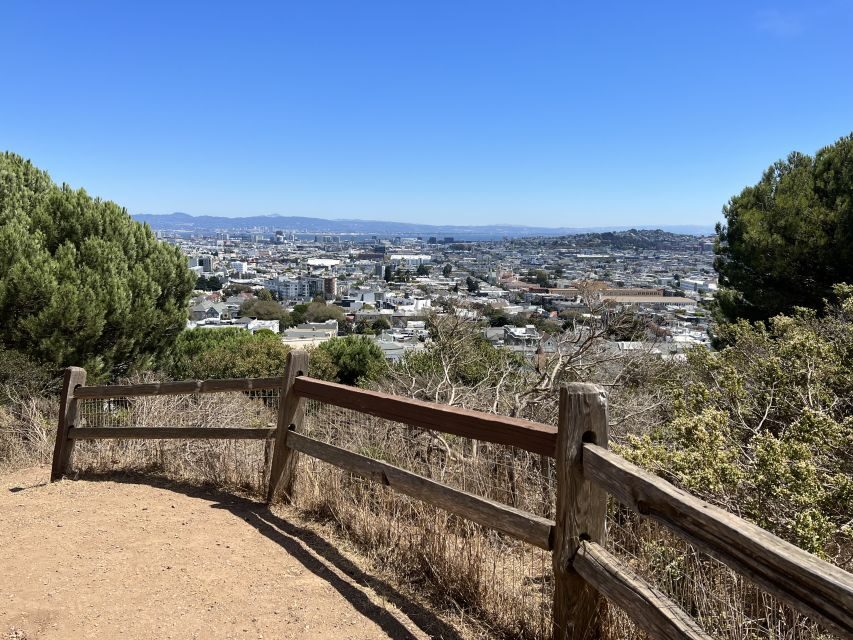 San Francisco: Neighborhood Walking Tour - 6 Route Options - Authentic Experiences and Feedback