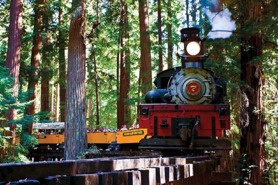 San Francisco: Redwood Forest & Santa Cruz Harbor 1-Day Trip - What’s the Value for the Price?