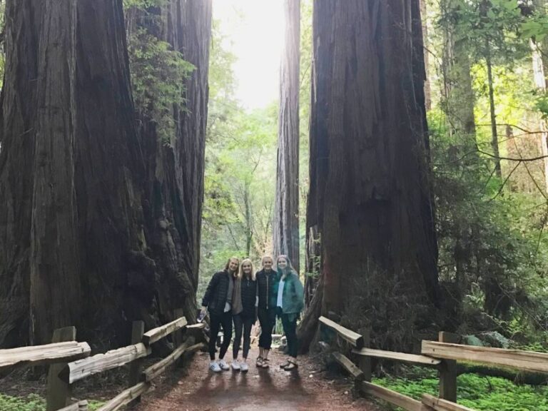 San Francisco Tour to Muir Woods Giant Redwoods & Sausalito - An Honest Look at the Experience