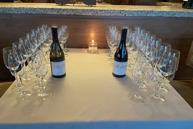 San Francisco Wine Country Tour in EV VW Van - The Sum Up