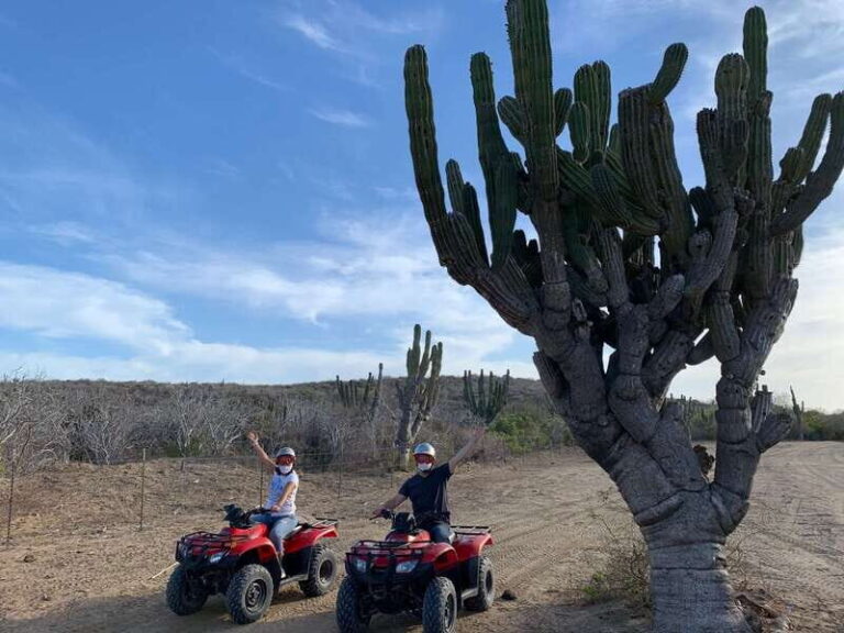 San José del Cabo: 2-Hour ATV Tour - What to Expect from the Tour